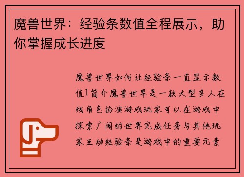 魔兽世界：经验条数值全程展示，助你掌握成长进度